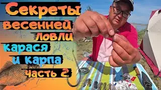Секреты весенней ловли карася и карпа на озере!  Рыбалка на спиннинг с берега ! Часть 2  fishing