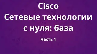 Курсы Cisco «Сетевые технологии с нуля: база». Часть 1