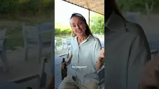 Закуски к вину — быстро, просто, вкусно