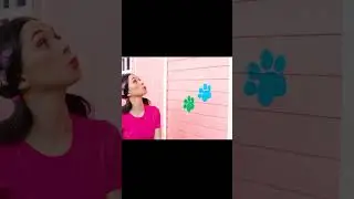 Cat paws print on the house