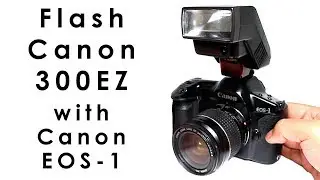 How to Use Flash Canon 300EZ in Canon EOS 1 Film Camera and How to Connect a Flash with Sync Cord