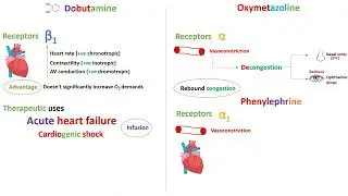 Direct sympathomimetics - Phenylephrine - in Arabic