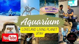 Loveland Living Planet Aquarium, Utah | Penguins | Sharks | Sloths and more!