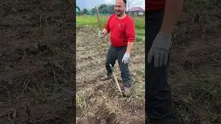 Лишь бы не работать 🤭🤭