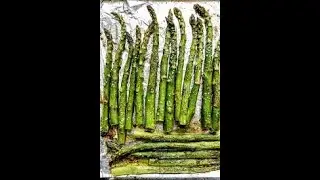 Air Fryer Asparagus: The Ultimate Guide To Perfectly Roasted Spears