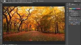 How to Create Vignette with Curves   Adobe Photoshop CS6