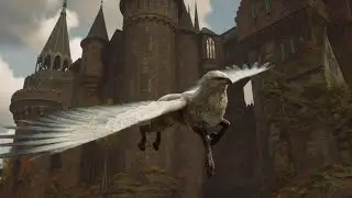 Hogwarts Legacy - Gameplay Ita - #22 Incontriamo il piccione gigante magico