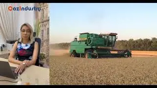 КазАзот увеличивает мощности