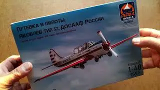 Як-52 ДОСААФ  1:48 . Обзор.