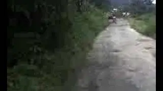 fffdf