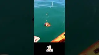 O que minha nuié fala quando vou pescar