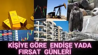 Nakit Ödeme Yasağı Geldi, Altın ve Devlet Tahvillerine Taarruz Japonya ve Çin Şişeleri Düşerken