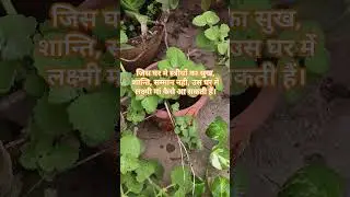 Respect every women she is doing much for us.#minivlog #viral #women #sad #girl #shorts