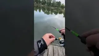 ЩУКА НА УЛЬТРА ЛАЙТ🎣 #fish #fishing #рыбалка #fishingvideo #pike #pikefishing #киев #shorts