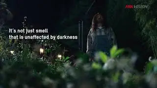 হিকভিশন কালারভিউ টেকনোলজি |  রাতের বেলাতেও পান দিনের আলোর মত শার্প ইমেজ কোয়ালিটি