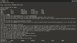 Error response from daemon: No such container:docker