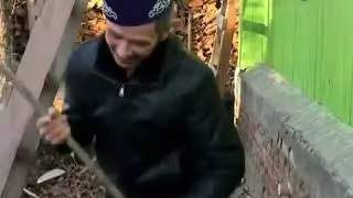 Биибез