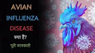 What is Avian Influenza Disease with Full Information? – [Hindi] – Quick Support