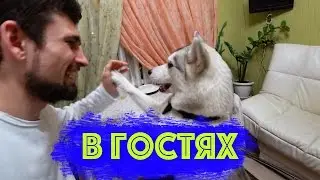ХАСКИ КАПЕЛЛА- В ГОСТЯХ