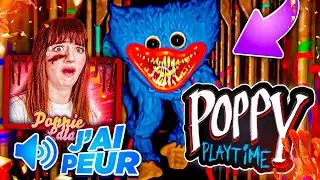 Ce jouet devient complètement fou ! (Poppy PlayTime)