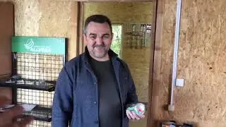 А вот и Приманки Борода Бейтс появились на водоеме