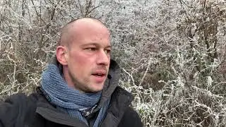 Eisiger Fotospaziergang im Wald 