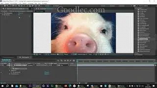 Эффект Постеризация Posterize After Effects