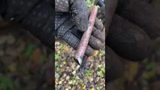 ТЕХНИЧЕСКОЕ СЕРЕБРО! РЫБОКОП