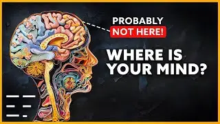 New Science About the Nature of Consciousness