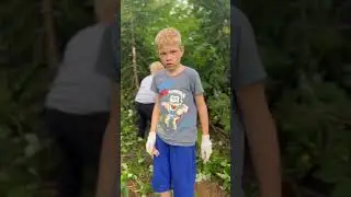#домнадереве