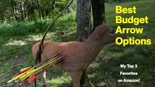 Best Alternatives to Expensive Arrows! These Amazon Finds Are 60% Cheaper (Tested)