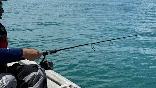 Rugi ke Langkawi tak cuba aktiviti fun fishing. Tak pernah memancing pun boleh dapat ikan😉