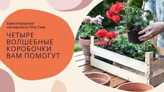 884. ЧЕТЫРЕ КОРОБОЧКИ...
