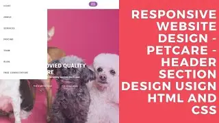 PetCare - Responsive Website Design - Header Section Design Using HTML And CSS || WebMode