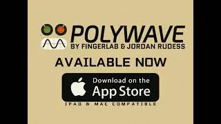 Now Available PolyWave Vid