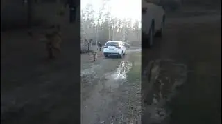 Бэсста обрадовалась и Бэсста прогнала рыжую собаку