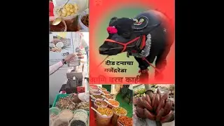 सोलापूर,५२नावे राज्यस्तरीय कृषी प्रदर्शन,होम मैदान...#youtubevideo #maharashtra #marathi