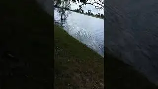 Караульный Яр 16.06.18