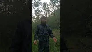 Как легко собирать грибы! #выживание  #выживалыч #дикаяприрода  #бушкрафт