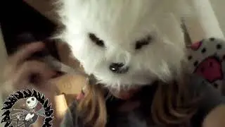 Dislike it / White fox with sharp teeth and red eye read description