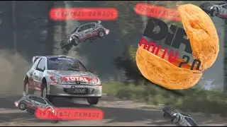 authentic DiRT Rally 2.0 experience, in a nutshell