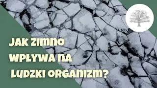 Jakie korzyści da Ci morsowanie?