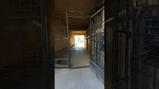 Проходной двор в Петербурге посмотри видео до конца и узнаешь его длину #недвижимость #квартира #спб