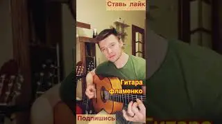Фламенко на гитаре/кистевое расгеадо 2/испанская гитара #shorts