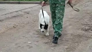 Вторая прогулка САО Гайды