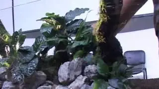 Мастер класс Такаси Амано на тему: 
