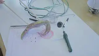 The Making of ROGER