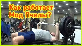 Ответ по Моду Пчелы кат. 90 кг. Жим лежа