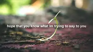 Matthew Mole - Have I Told You (Unofficial) Lyric