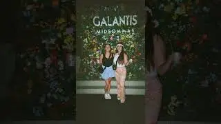 MIDSOMMAR memories by YOU! ❤️Should we do this at more shows? #Seafoxnation 🌊🦊🌎📸 #galantis #edm
